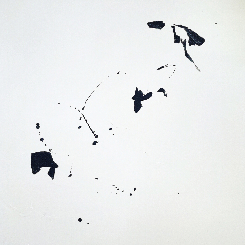 MSKAMILA-KRAUS.ZIMA_O2.PTAK_