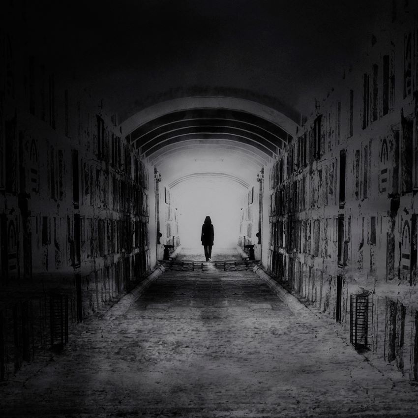 10616160_702471139847047_1387926836085994664_n