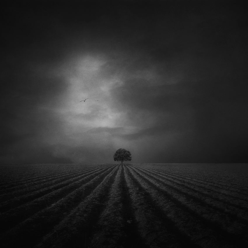 1531854_740953492665478_6707374732798978165_n